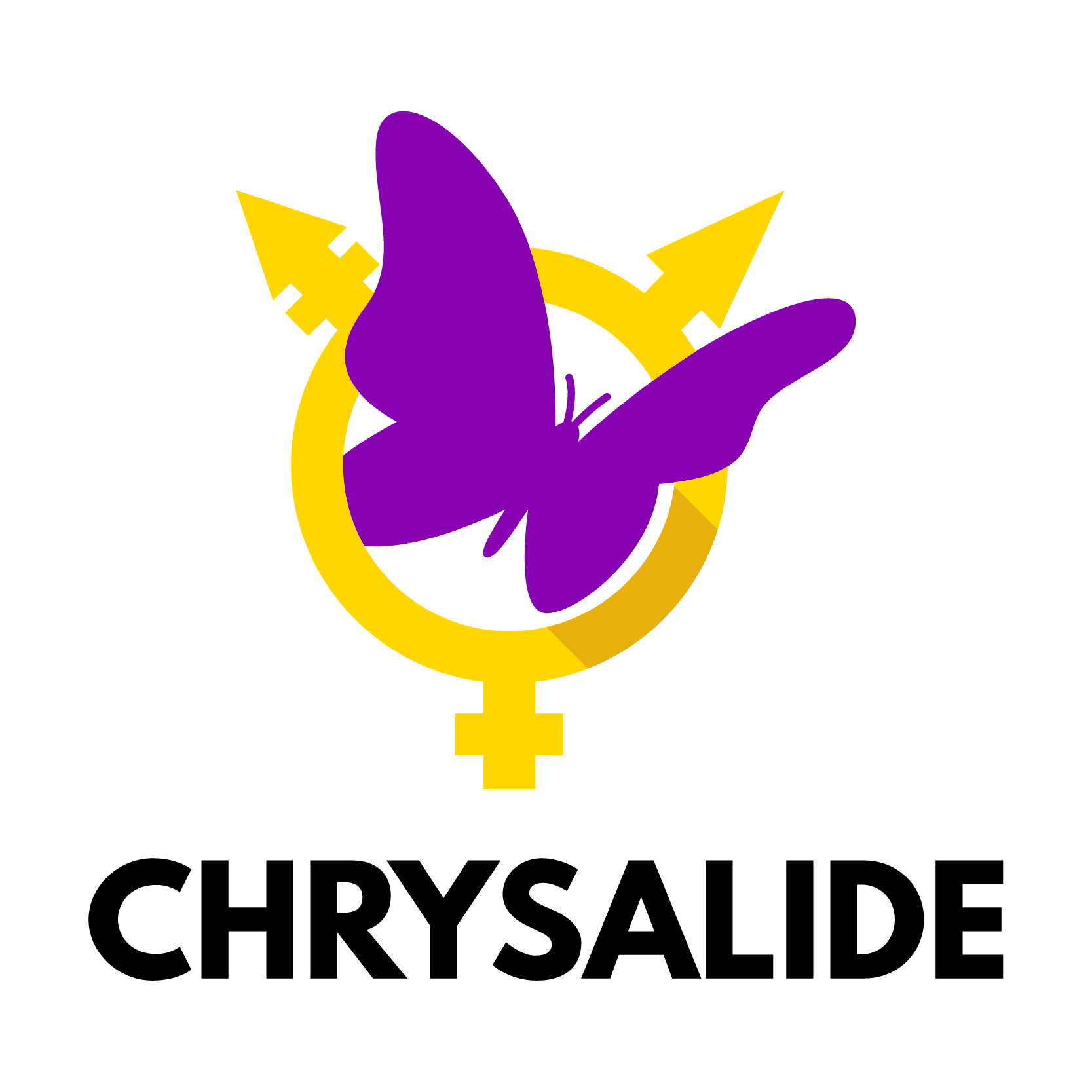 chrysalide